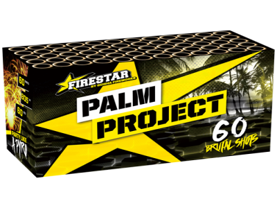 Palm project